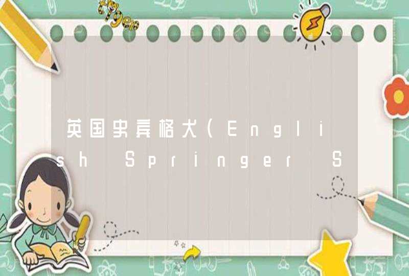 英国史宾格犬(English Springer Spaniel)品种介绍